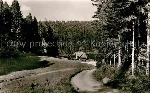 AK / Ansichtskarte Altensteig Schwarzwald Kohlmuehle im Zinsbachtal