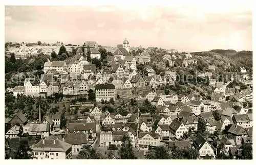 AK / Ansichtskarte Altensteig Schwarzwald Panorama 