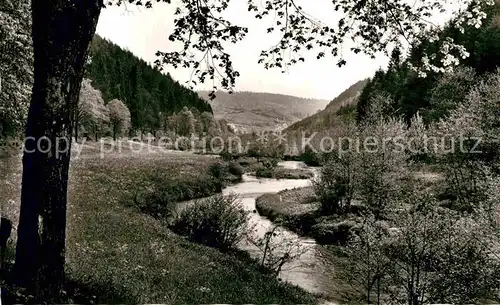 AK / Ansichtskarte Wildberg Schwarzwald Haus Saron Kat. Wildberg