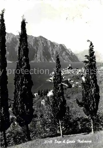 AK / Ansichtskarte Malcesine Lago di Garda Panorama Kat. Malcesine