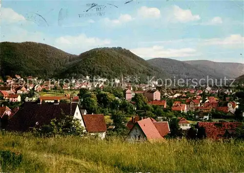 AK / Ansichtskarte Bad Harzburg Panorama Kat. Bad Harzburg