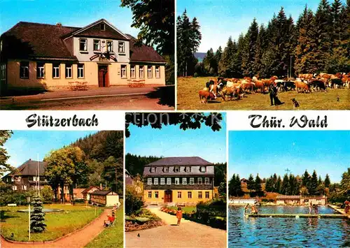 AK / Ansichtskarte Stuetzerbach Gasthaus Auerhahn Goethehaus Kuhherde Kurpark Freibad Kat. Stuetzerbach