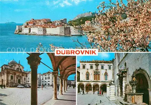 Dubrovnik Ragusa Panorama Altstadt Festung Baumbluete Platz Arkaden Kat. Dubrovnik