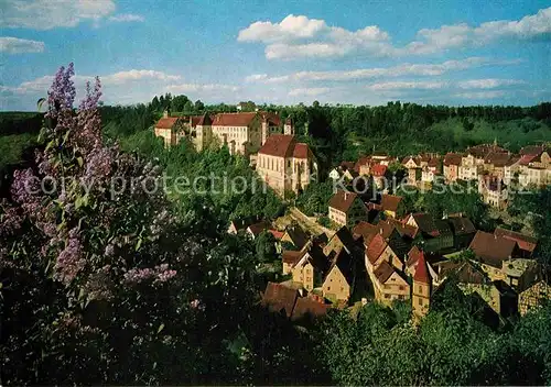 Haigerloch Blick auf Schlosskirche und Schloss Baumbluete Kat. Haigerloch