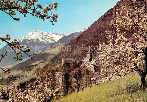 Meran Merano Castel Tirolo e Cima Tessa Schloss Tirol Zielspitze Texelgruppe