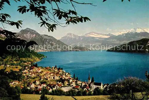 AK / Ansichtskarte Weggis Vierwaldstaettersee mit Alpenpanorama