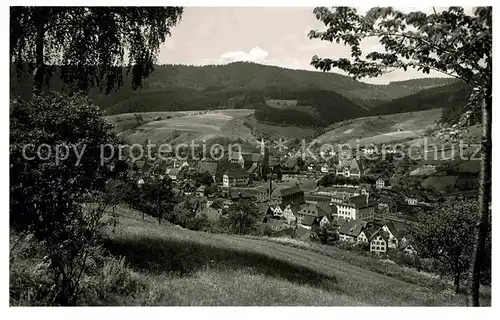 AK / Ansichtskarte Alpirsbach Panorama Kat. Alpirsbach