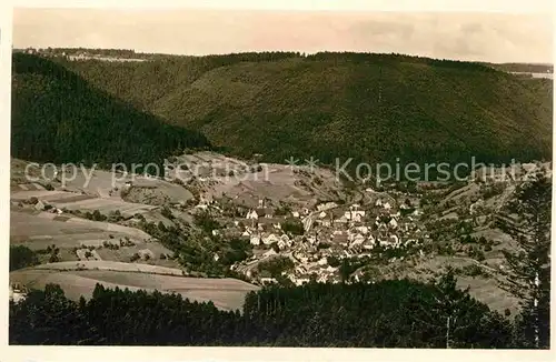 AK / Ansichtskarte Alpirsbach Panorama Kat. Alpirsbach