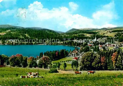 AK / Ansichtskarte Titisee Panorama Kat. Titisee Neustadt