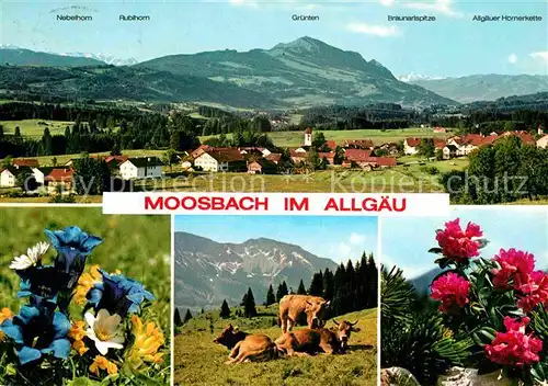 AK / Ansichtskarte Moosbach Kempten Gesamtansicht mit Alpenpanorama Allgaeuer Alpen Blauer Enzian Alpenflora Almvieh Kuehe Kat. Sulzberg