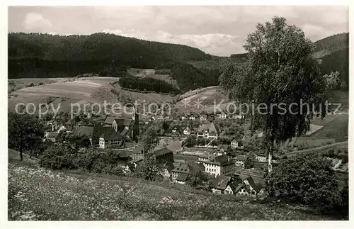 AK / Ansichtskarte Alpirsbach Panorama Kat. Alpirsbach