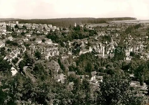 AK / Ansichtskarte Altensteig Schwarzwald Panorama 