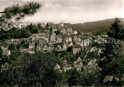 AK / Ansichtskarte Altensteig Schwarzwald Panorama 