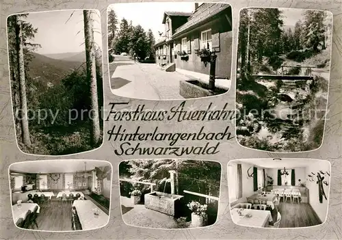 AK / Ansichtskarte Hinterlangenbach Baiersbronn Forsthaus Auerhahn Brunnen Gaststube Teilansicht  Kat. Baiersbronn