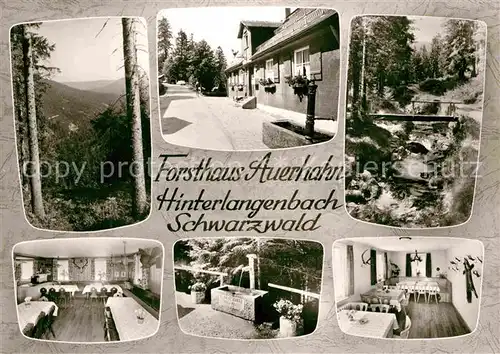 AK / Ansichtskarte Hinterlangenbach Baiersbronn Forsthaus Auerhahn Kat. Baiersbronn