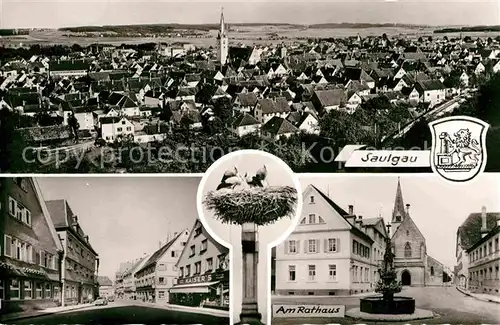 AK / Ansichtskarte Saulgau Panorama Rathaus Stadtansicht Storchennest Kat. Bad Saulgau