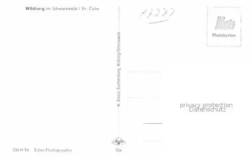 AK / Ansichtskarte Wildberg Schwarzwald Panorama Kat. Wildberg