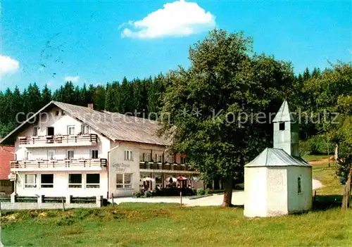 AK / Ansichtskarte Bodenmais Hotel Pension Boehmhof Kat. Bodenmais