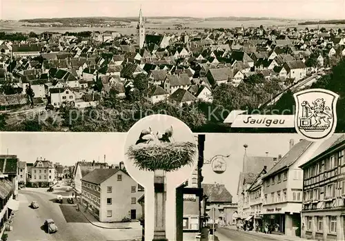 AK / Ansichtskarte Saulgau Panorama Hauptstrasse Storchennest Kat. Bad Saulgau