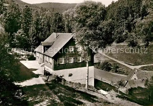 AK / Ansichtskarte Hinterlangenbach Baiersbronn Forsthaus Auerhahn Kat. Baiersbronn