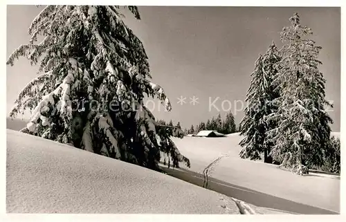 AK / Ansichtskarte Schletteralm Panorama  Kat. Isny im Allgaeu