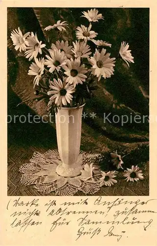 AK / Ansichtskarte Blumen Margeriten Vase  Kat. Pflanzen