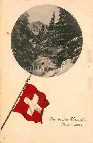 AK / Ansichtskarte Neujahr Fahne Schweiz  Kat. Greetings
