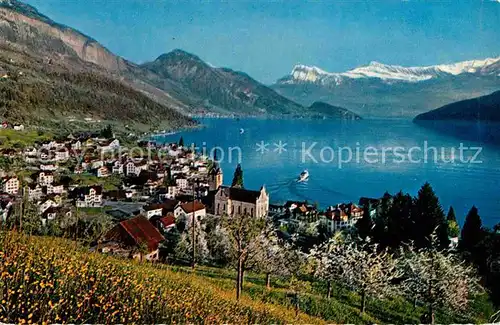 AK / Ansichtskarte Weggis Vierwaldstaettersee Panorama mit Rigi Niederbauen Oberbauen Alpen