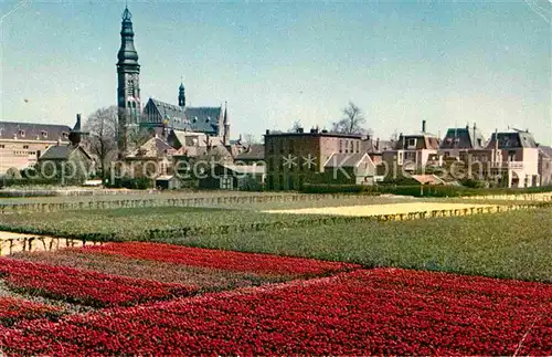 AK / Ansichtskarte Baarn de Bloemenvelden in bloei Blumenfelder Ansicht mit Kirche Kat. Baarn