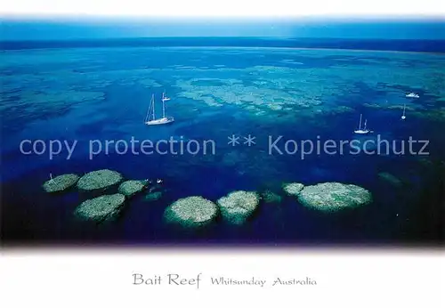 AK / Ansichtskarte Whitsunday Island Bait Reef aerial view