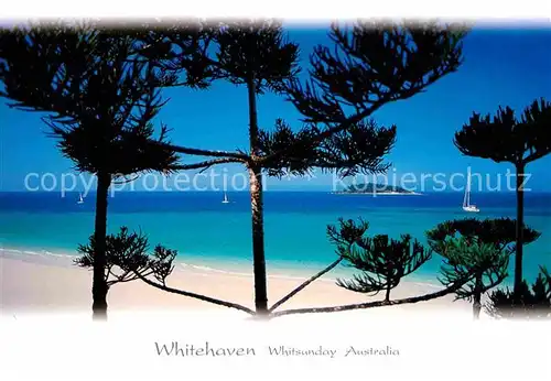 AK / Ansichtskarte Whitsunday Island Whitehaven Beach