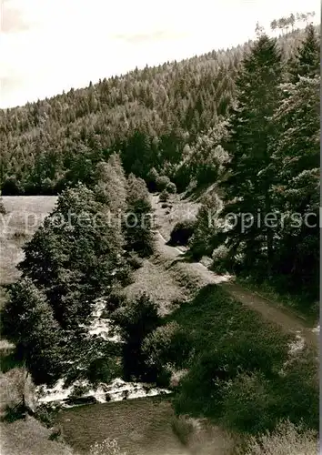 AK / Ansichtskarte Dobel Schwarzwald Eyachtal Kat. Dobel