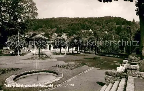 AK / Ansichtskarte Triberg Schwarzwald Burggarten Kat. Triberg im Schwarzwald