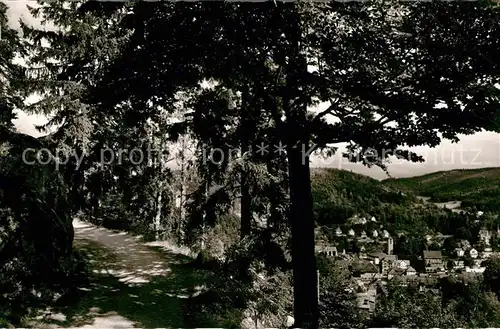 AK / Ansichtskarte Triberg Schwarzwald Teilansicht Kat. Triberg im Schwarzwald