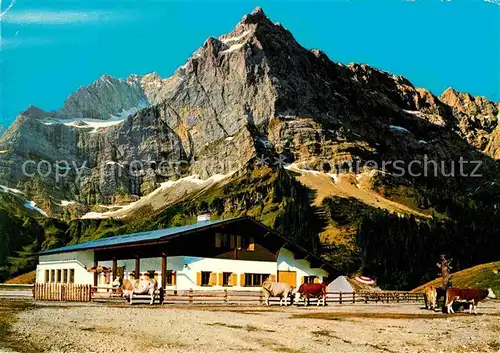 AK / Ansichtskarte Eng Alm Karwendelgebirge Almvieh Kuehe