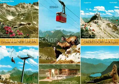 AK / Ansichtskarte Oberstdorf Bergstation Edmund Probst Haus Nebelhornbahn Gemsen Berghotel Seealpsee Murmeltier Allgaeuer Alpen Kat. Oberstdorf