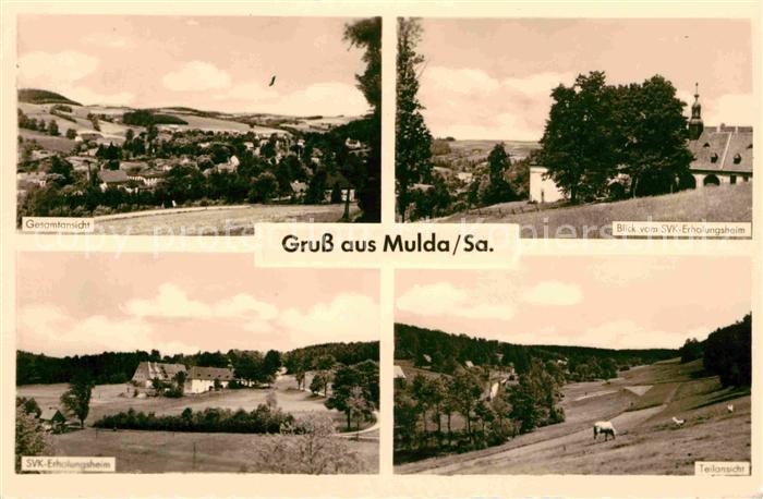 Der Artikel mit der oldthingid 25113913 ist aktuell ausverkauft.