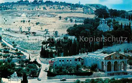 AK / Ansichtskarte Jerusalem Yerushalayim Gethsemane oelberg Kat. Israel