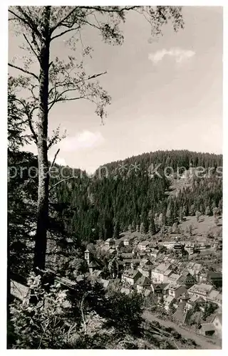 AK / Ansichtskarte Triberg Schwarzwald Teilansicht Kat. Triberg im Schwarzwald