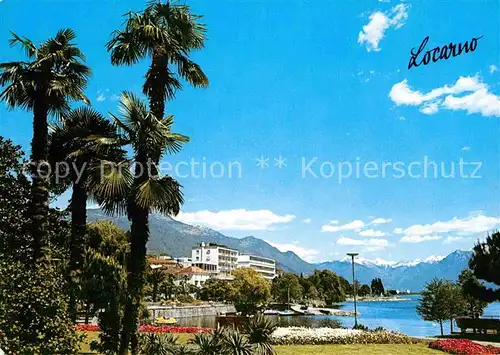AK / Ansichtskarte Locarno Lago Maggiore Uferpromenade Palmen Alpenblick