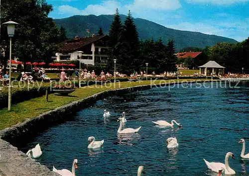 AK / Ansichtskarte Bad Wiessee Kuranlagen am See mit Schwaenen Kat. Bad Wiessee