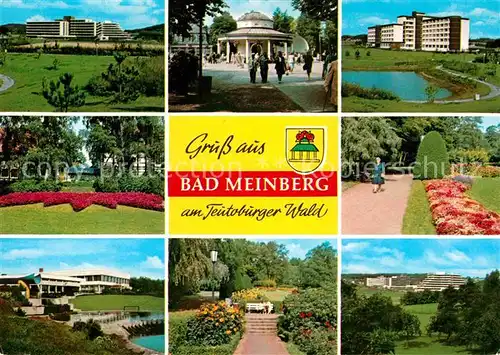 AK / Ansichtskarte Bad Meinberg Kurpark Kat. Horn Bad Meinberg