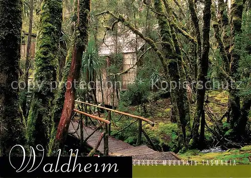 AK / Ansichtskarte Cradle Mountain Waldheim Chalet Weindorfers Forest Bridge