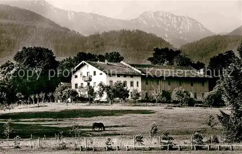 AK / Ansichtskarte Bernau Chiemsee Gaestehaus Steinbauernhof Kat. Bernau a.Chiemsee