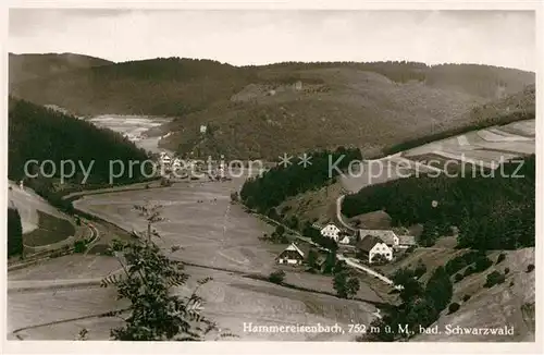 AK / Ansichtskarte Hammereisenbach Bregenbach Panorama Gasthaus zum Fischer Kat. Voehrenbach