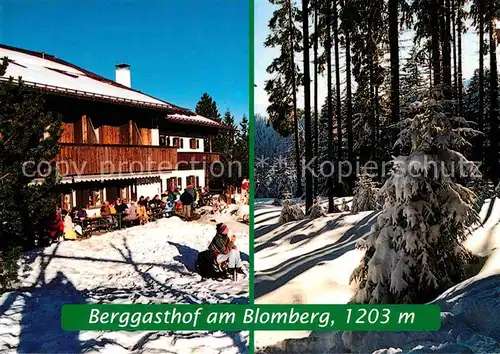 AK / Ansichtskarte Bad Toelz Berggasthof am Blomberg Waldpartie Winterlandschaft Kat. Bad Toelz