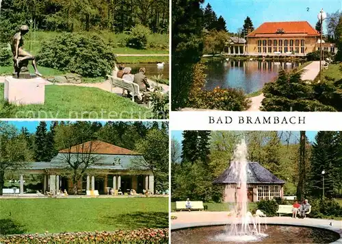 AK / Ansichtskarte Bad Brambach Nixe Kurpark Festhalle Radonquelle Schillerquelle Kat. Bad Brambach