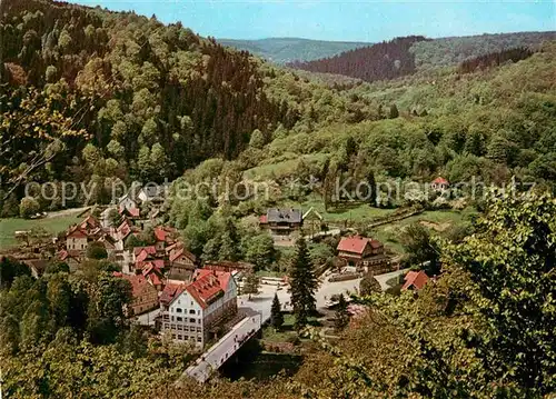 AK / Ansichtskarte Treseburg Harz Panorama Kat. Treseburg