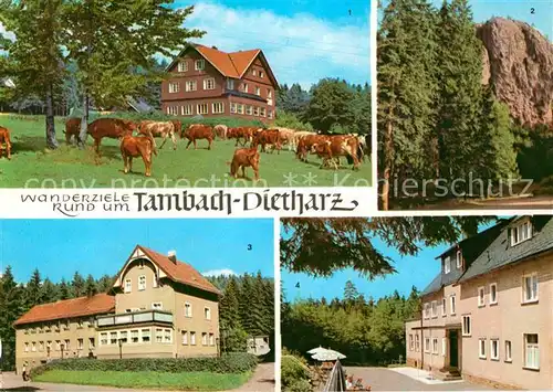 AK / Ansichtskarte Tambach Dietharz Berghotel Ebertswiese Falkenstein Radebachmuehle HOG Waldbaude Kat. Tambach Dietharz
