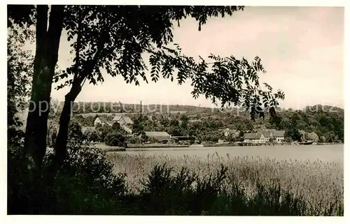 AK / Ansichtskarte Wallhausen Bodensee Teilansicht